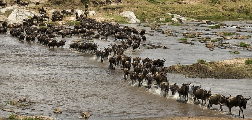 Adventure Travels Kenya — tour operator in 13 Koinange St, Kenya – photo 5
