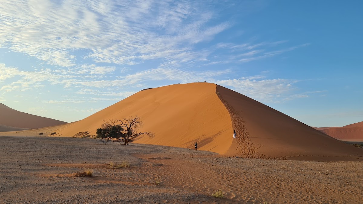Meine Namibia Safaris — tour operator in 195 Mandume Ndemufayo Avenue, Namibia – photo 3