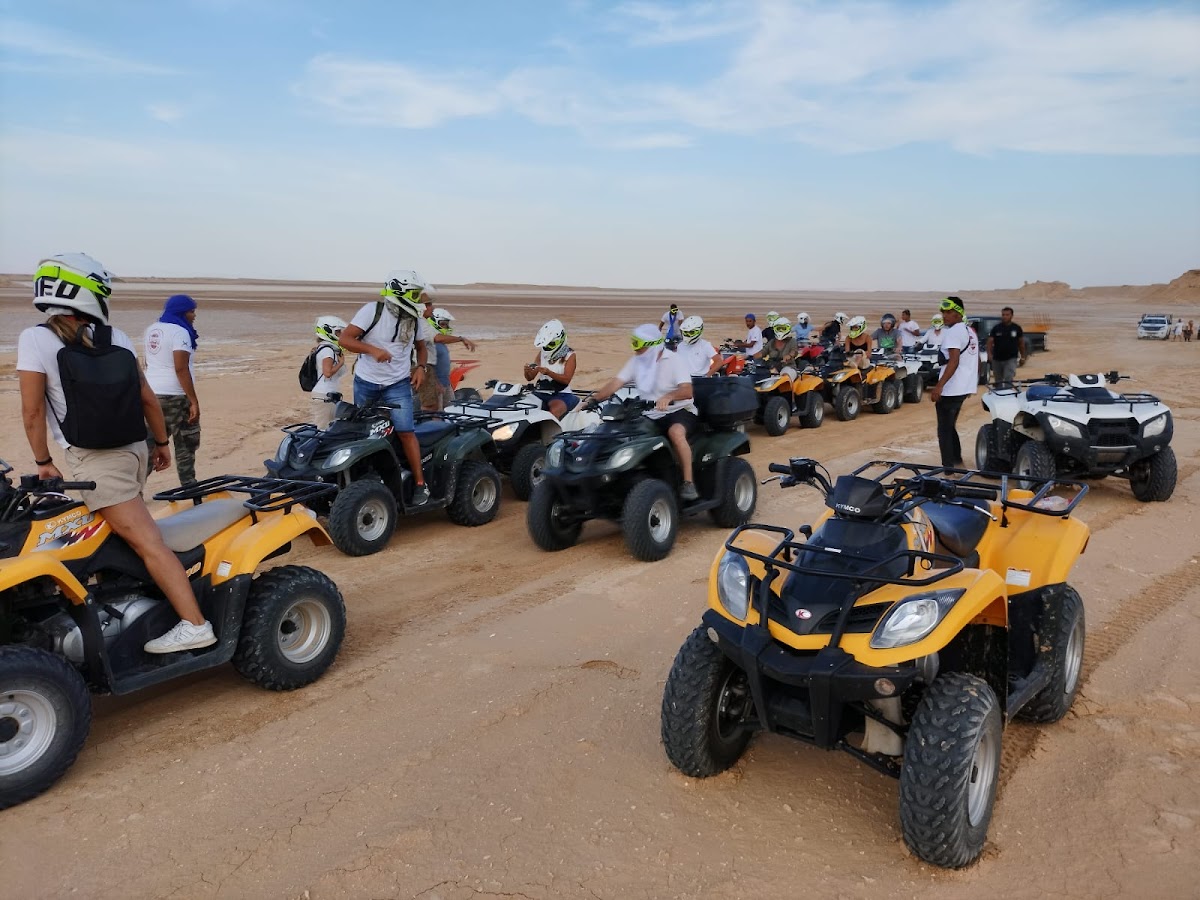 Activity Tunisia — tour operator in CH35+R4 Immeuble en face Kiosque Ola, Tunisia – photo 1