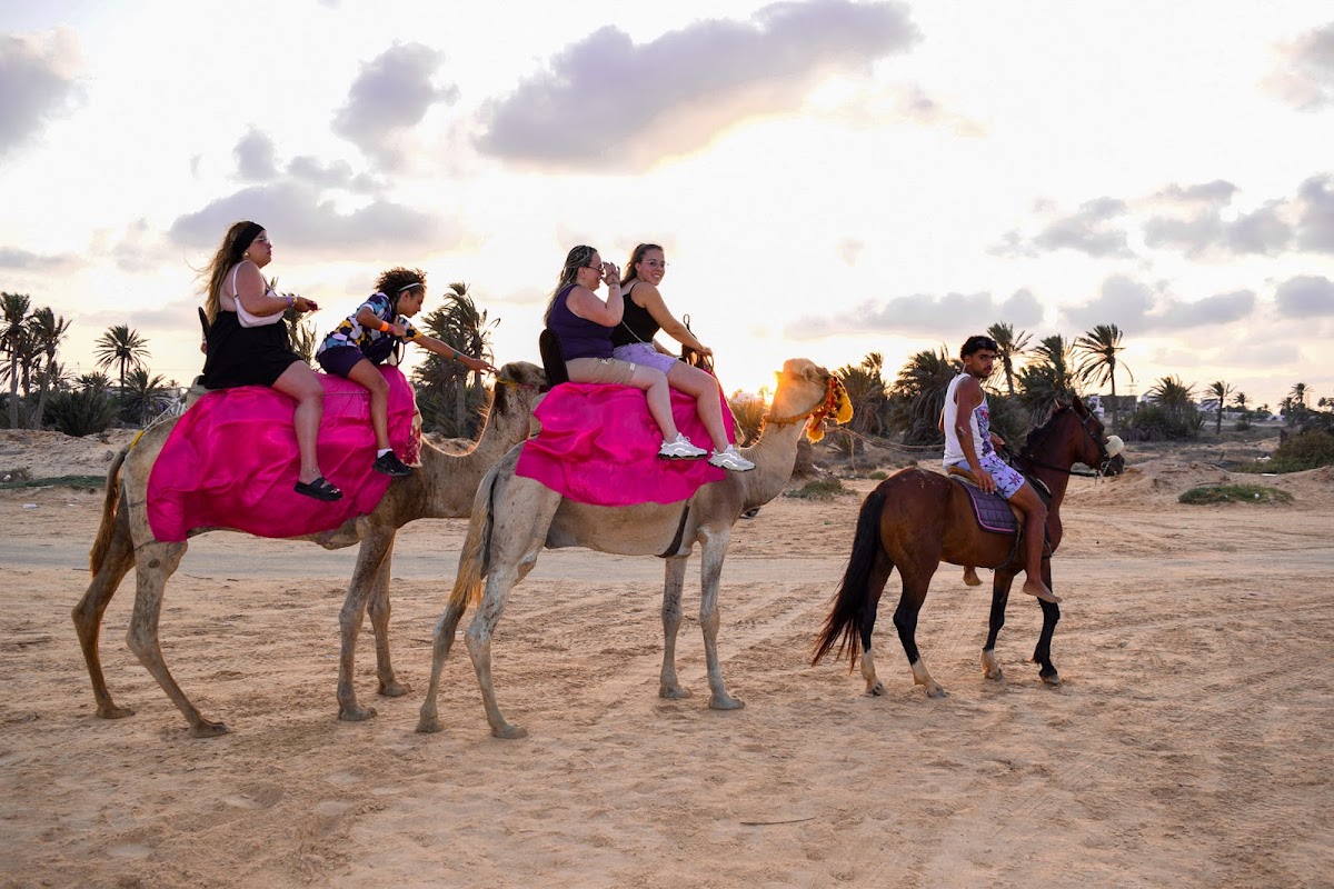 Activity Tunisia — tour operator in CH35+R4 Immeuble en face Kiosque Ola, Tunisia – photo 2