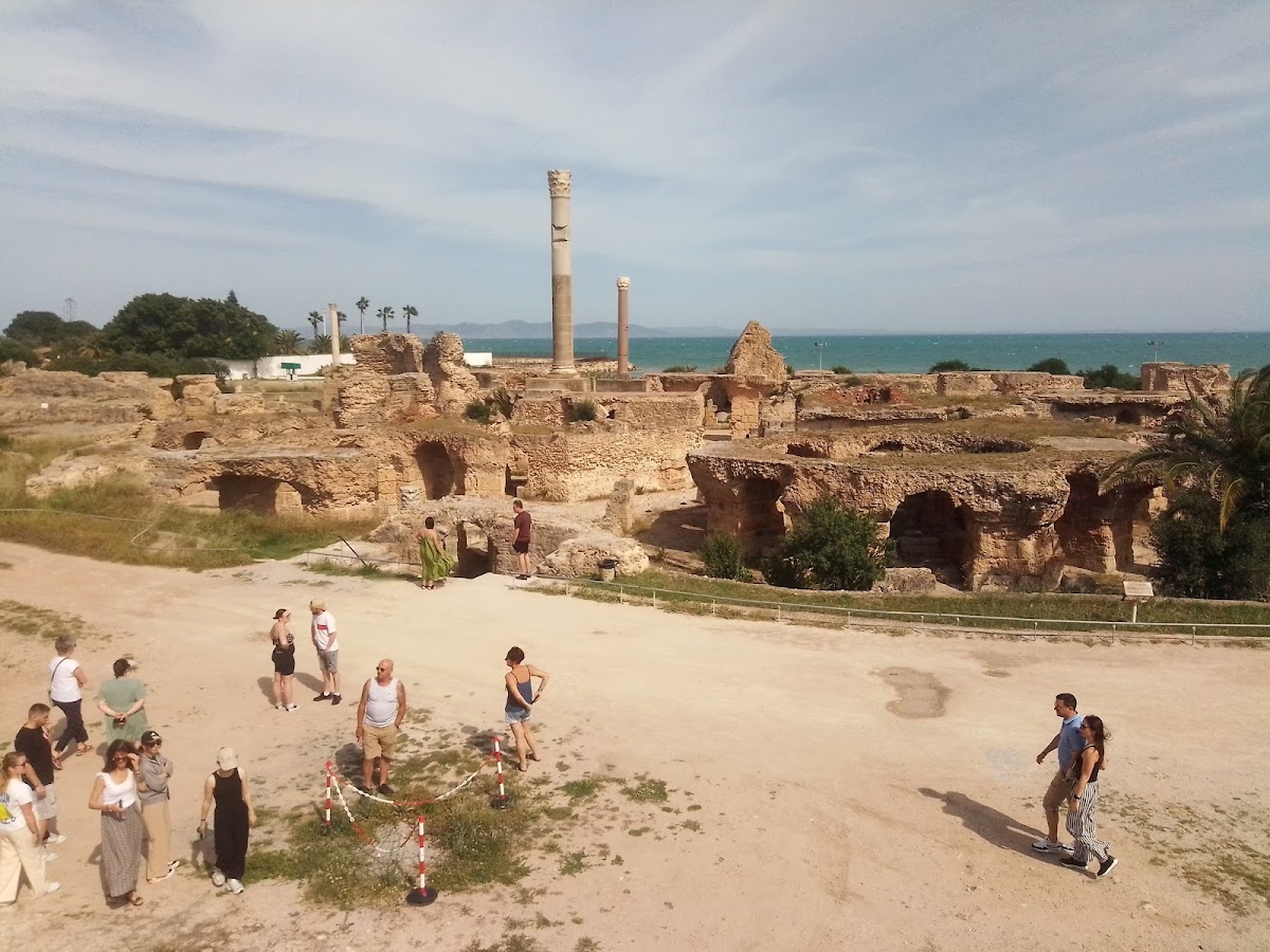 Activity Tunisia — tour operator in CH35+R4 Immeuble en face Kiosque Ola, Tunisia – photo 3