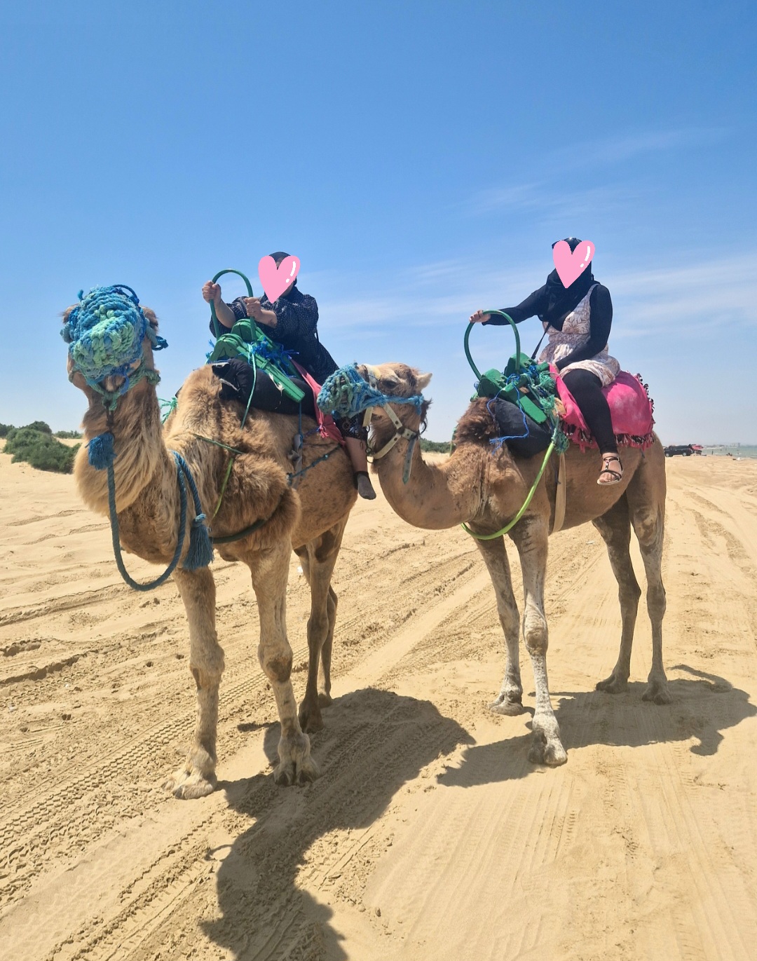 Activity Tunisia — tour operator in CH35+R4 Immeuble en face Kiosque Ola, Tunisia – photo 5