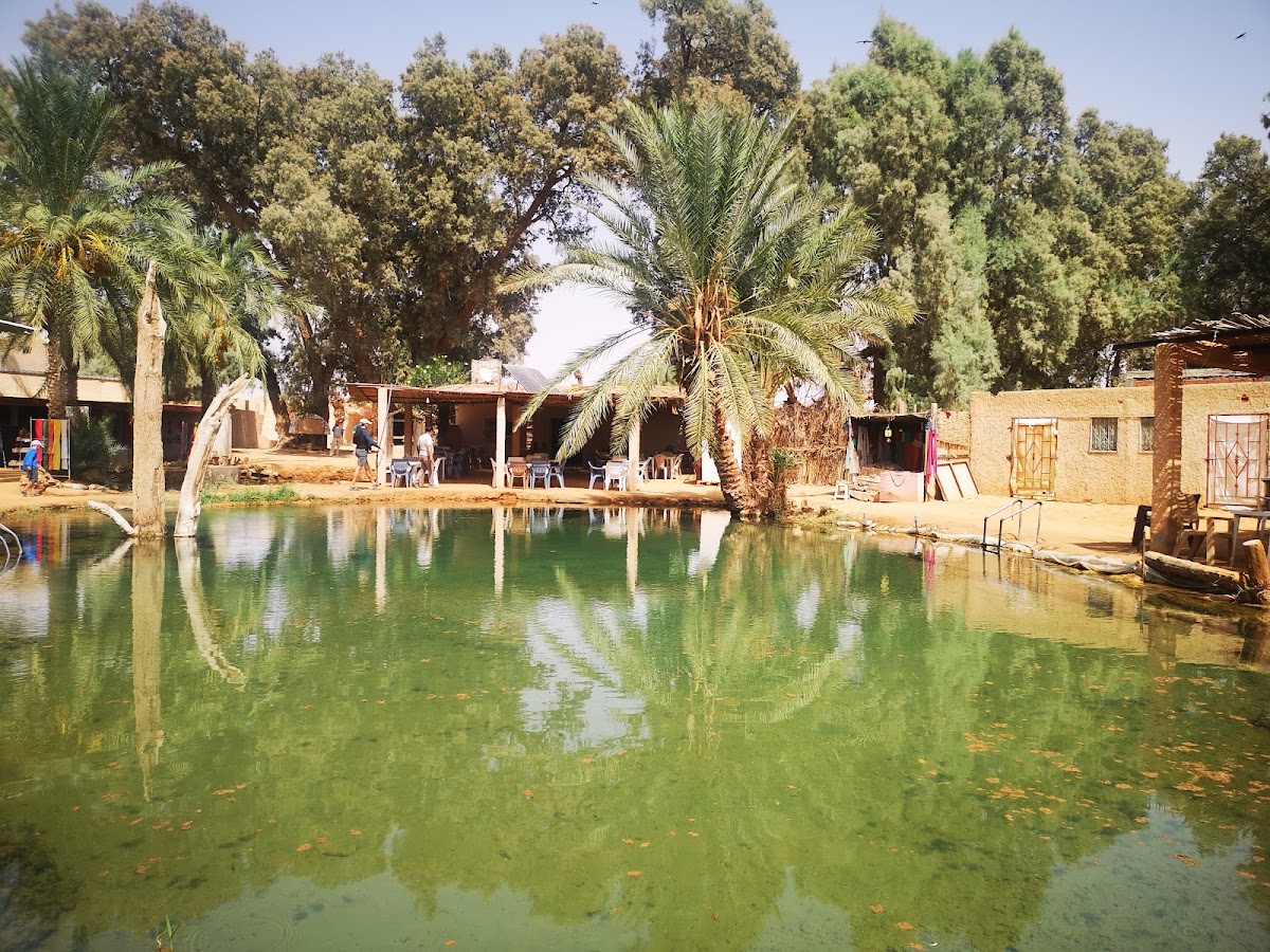 Bhs travel _ Best Holiday Service Tunisia — tour operator in Tawrit, Tunisia – photo 6