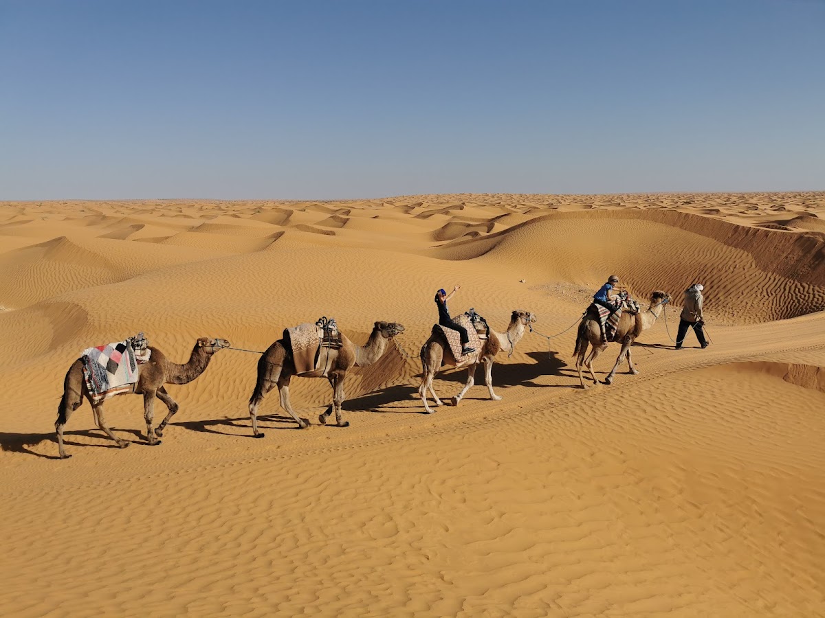 Bhs travel _ Best Holiday Service Tunisia — tour operator in Tawrit, Tunisia – photo 2