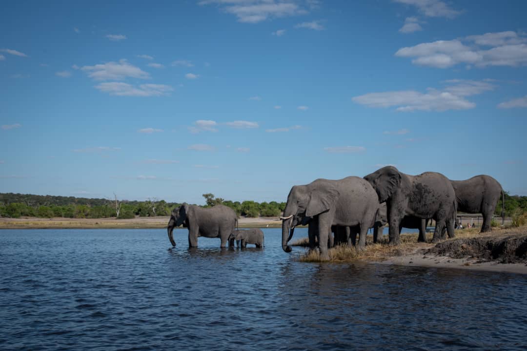 Willch Travel and Tours — tour operator in off Libala Dr, Zambia – photo 3