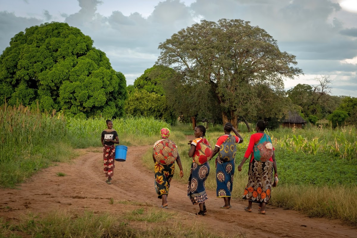 Willch Travel and Tours — tour operator in off Libala Dr, Zambia – photo 6