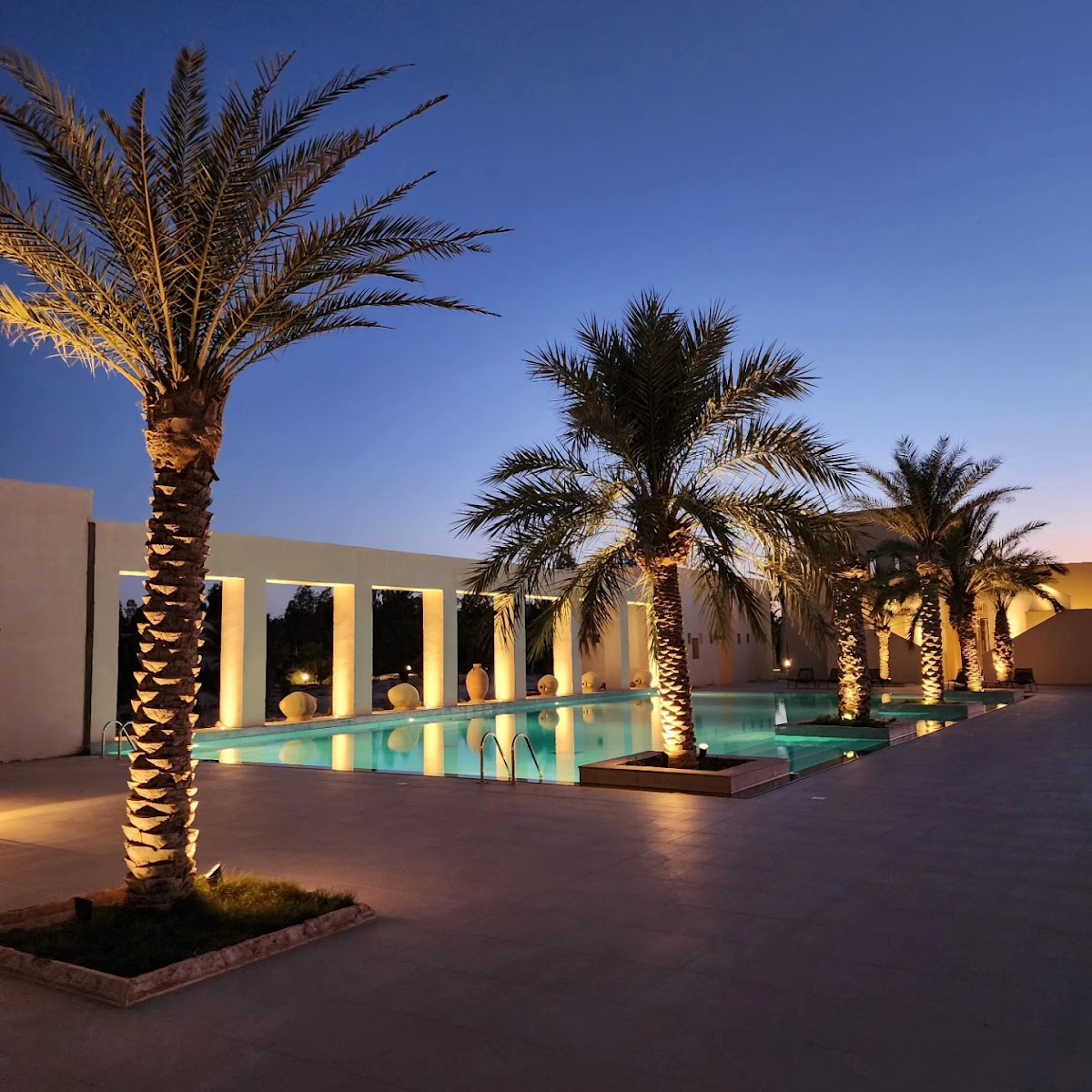 Discover Tunisia Tours — tour operator in V57P+R43, Tunisia – photo 4