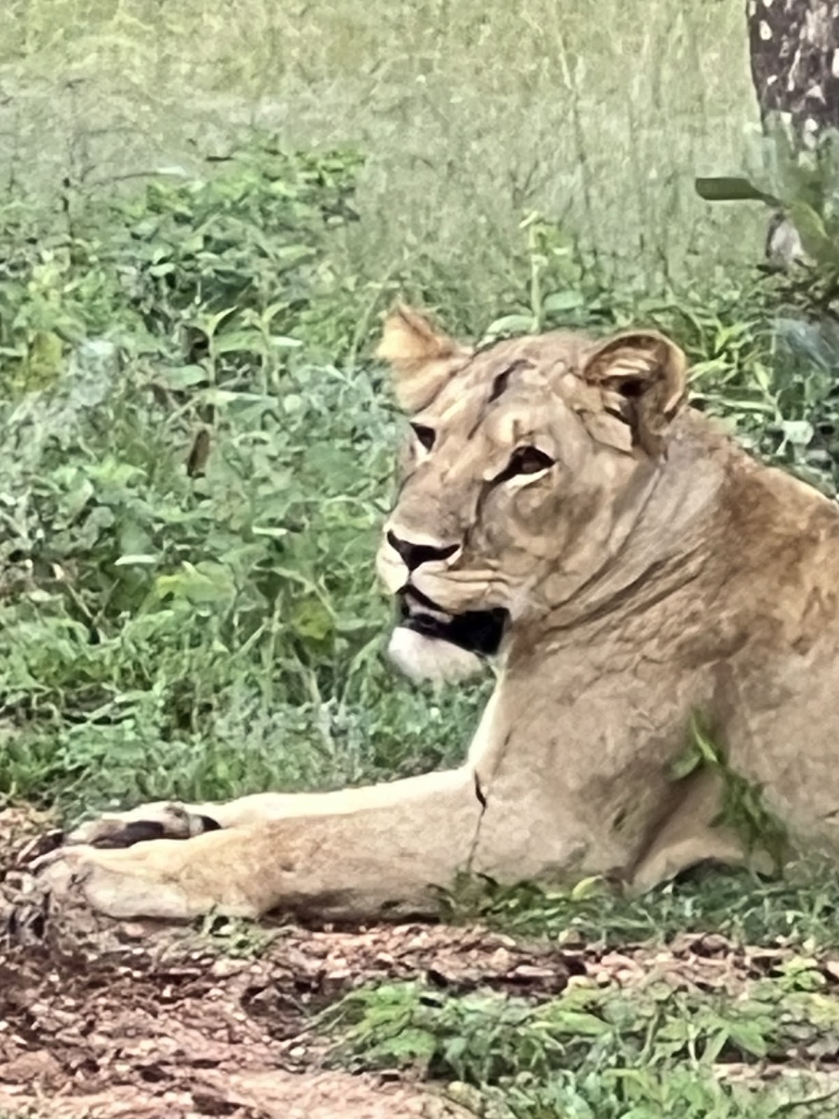 Bookings Africa Tours — tour operator in Hazyview, South Africa – photo 6