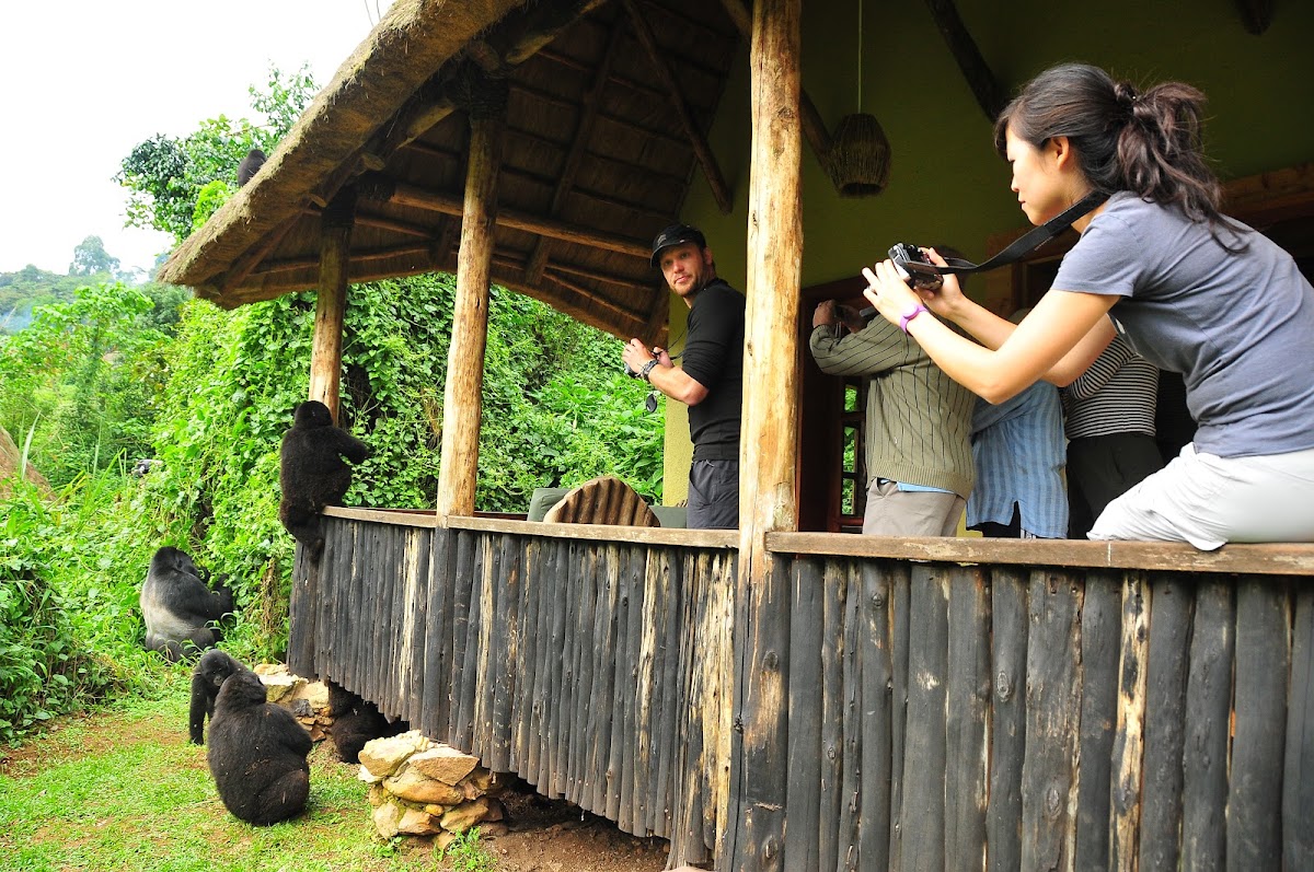 Pearl Afric Tours and Travel Uganda — tour operator in Plot 12 Corporation Rd, Uganda – photo 3