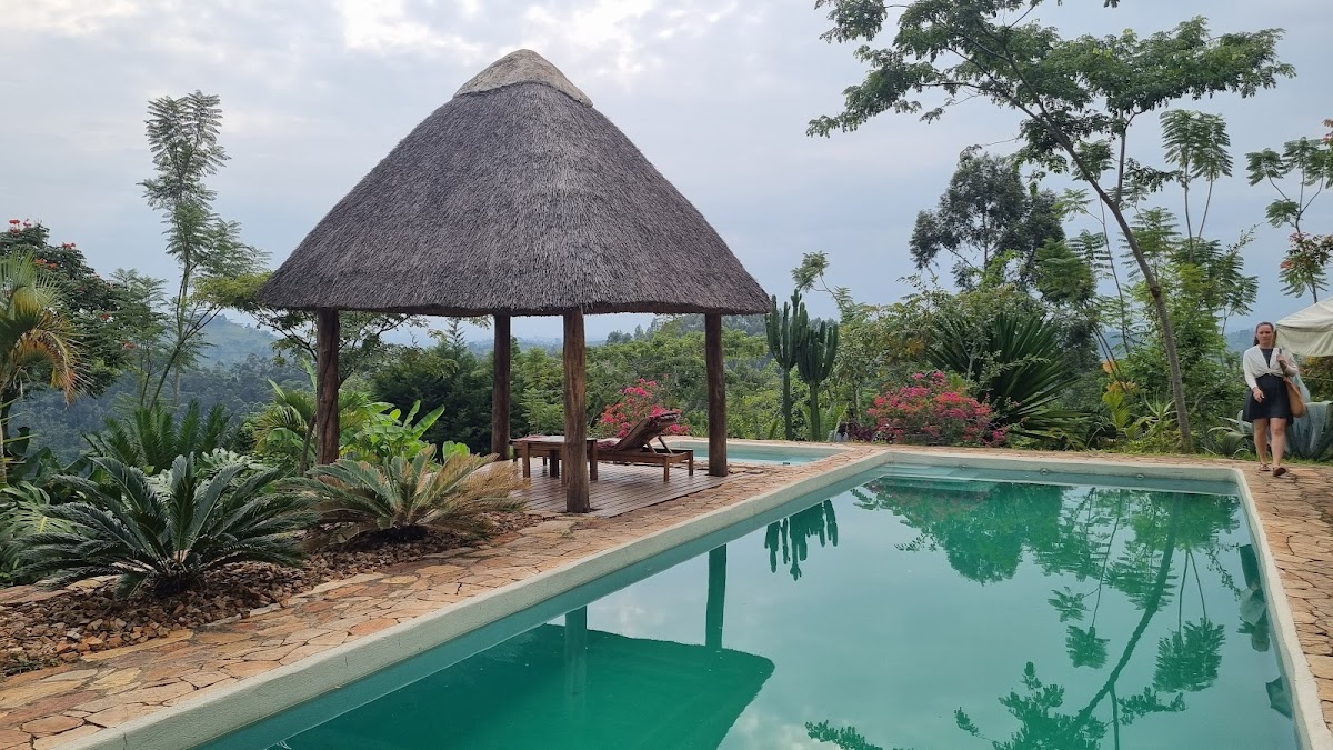 Pearl Afric Tours and Travel Uganda — tour operator in Plot 12 Corporation Rd, Uganda – photo 6
