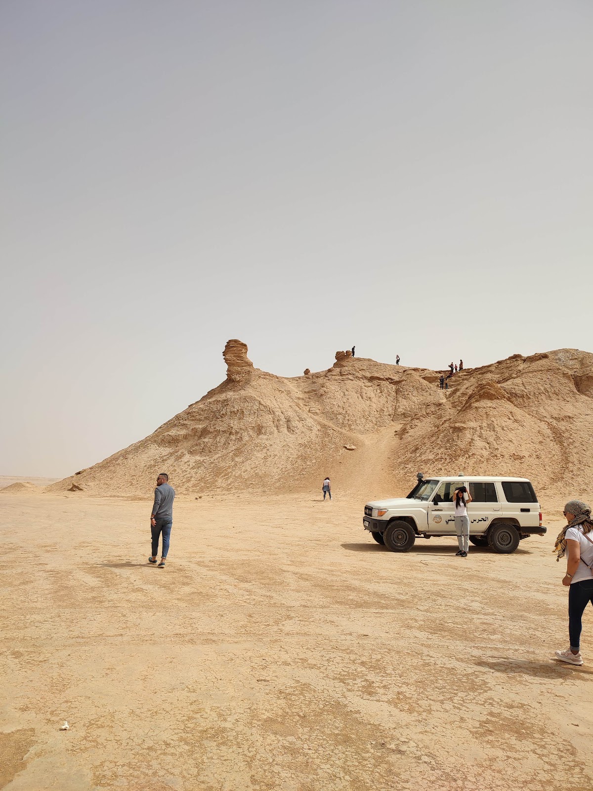 Safari Voyages — tour operator in Rue du Lac de Constance, Tunisia – photo 1