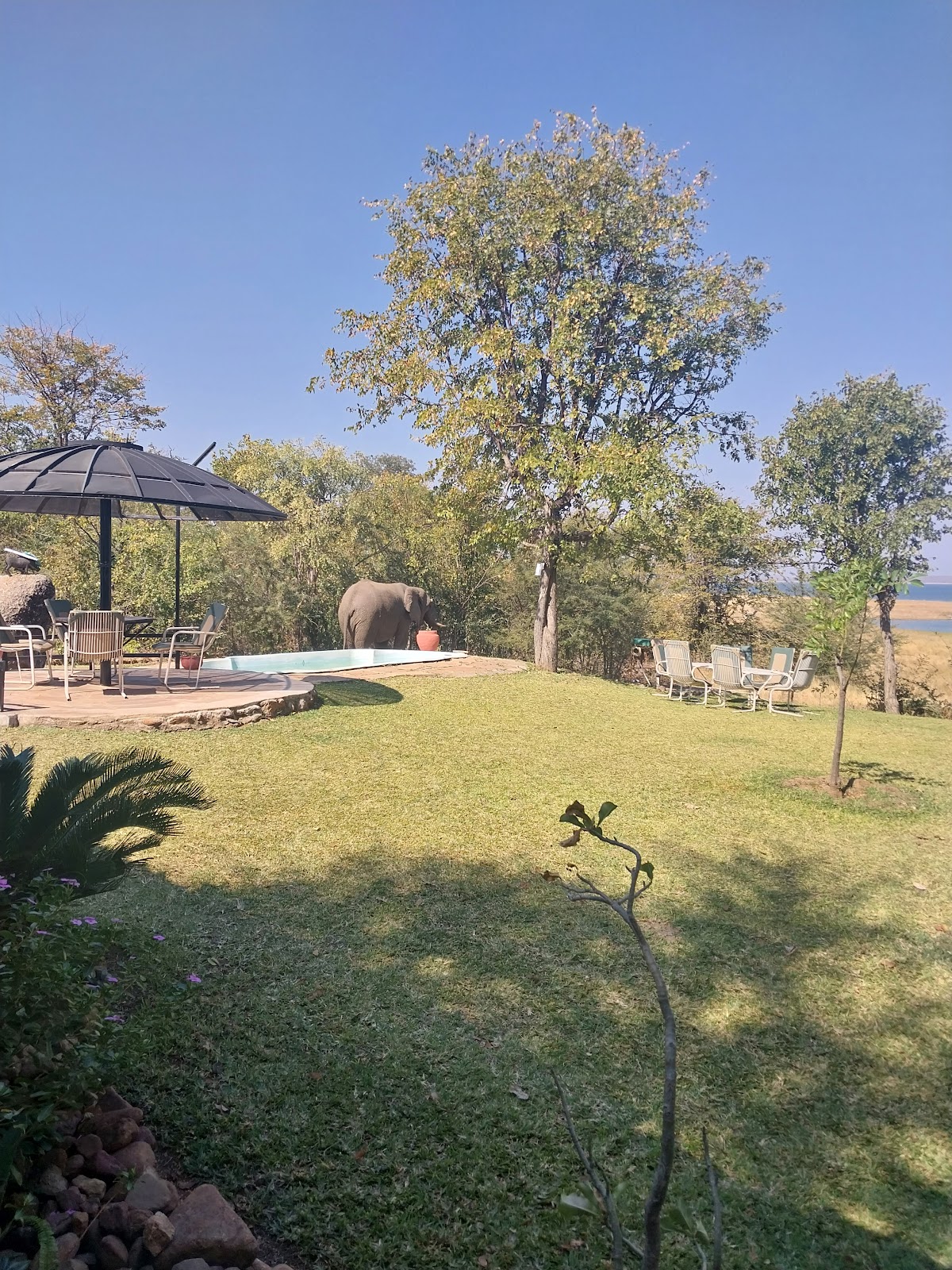 Zimbabwe Odyssey — tour operator in Harare, Zimbabwe – photo 1