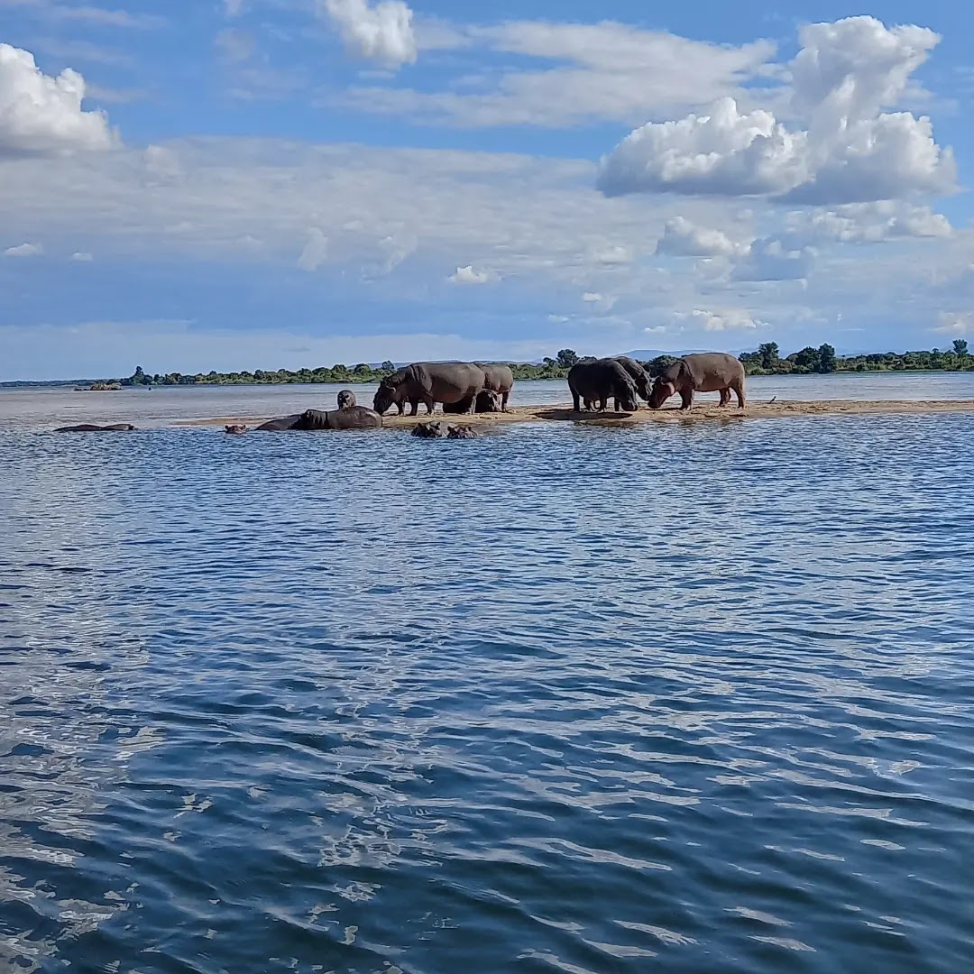 Nate's African Expeditions — tour operator in Dedan Kimathi Rd, Zambia – photo 6