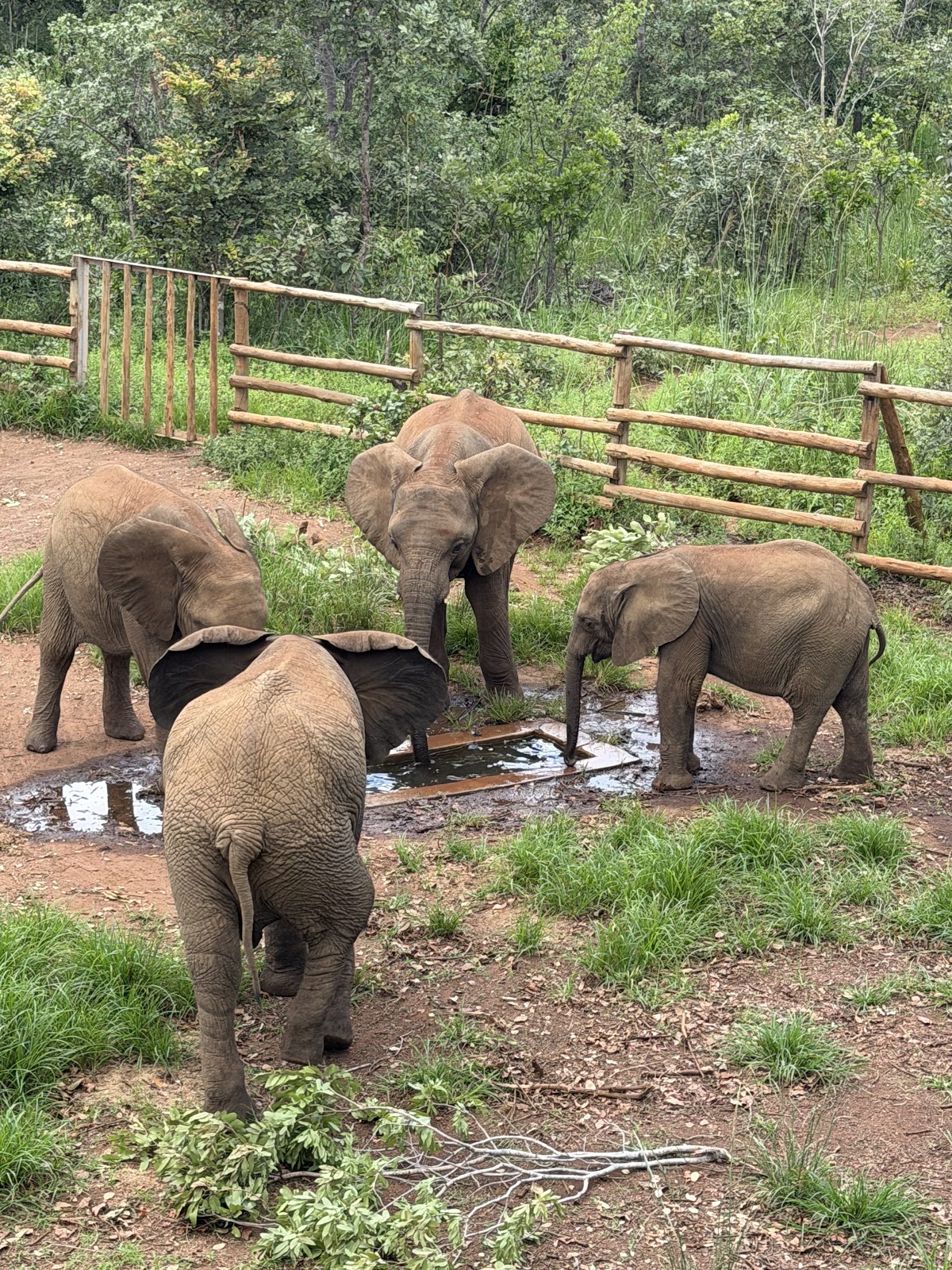 Nate's African Expeditions — tour operator in Dedan Kimathi Rd, Zambia – photo 3