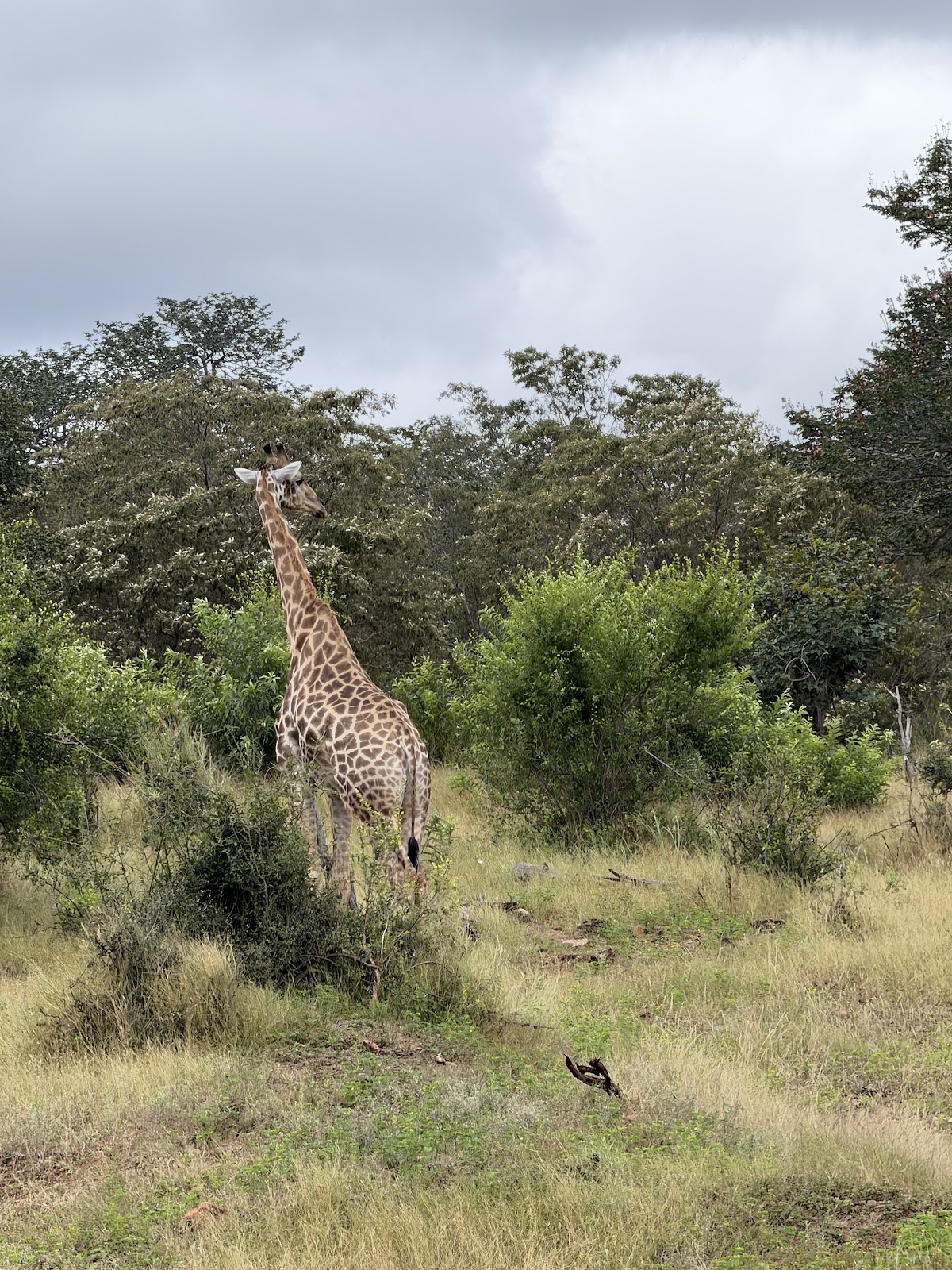 Nate's African Expeditions — tour operator in Dedan Kimathi Rd, Zambia – photo 2
