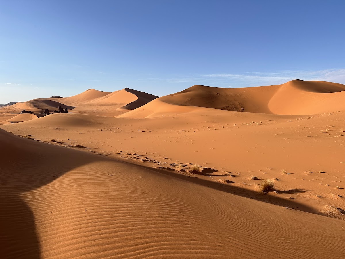 Nouvelles Terres — tour operator in Rue Abdeli BENBATOUCHE, Algeria – photo 1