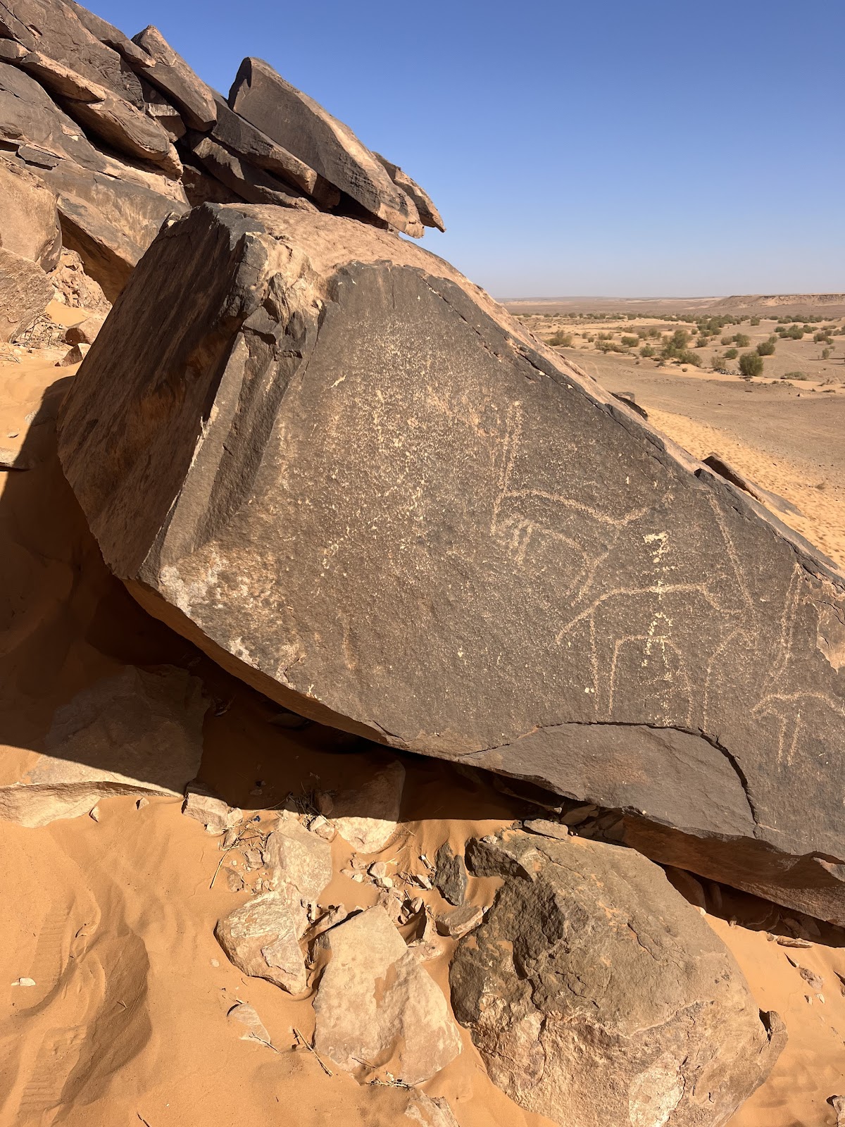 Nouvelles Terres — tour operator in Rue Abdeli BENBATOUCHE, Algeria – photo 2