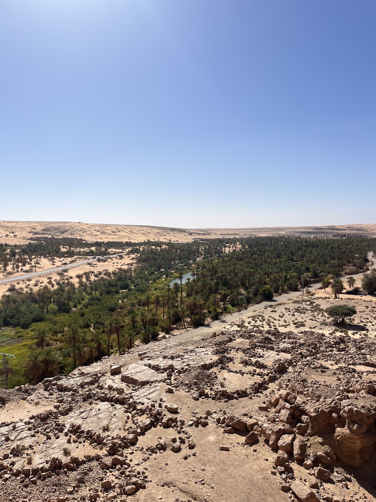 Nouvelles Terres — tour operator in Rue Abdeli BENBATOUCHE, Algeria – photo 4