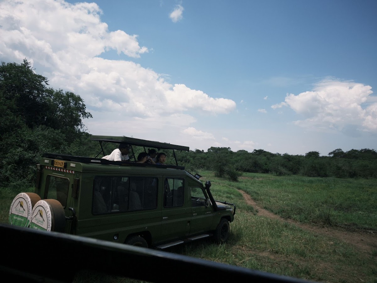 Ikaze Rwanda Tours & Travel — tour operator in KN 5 Rd, Rwanda – photo 5