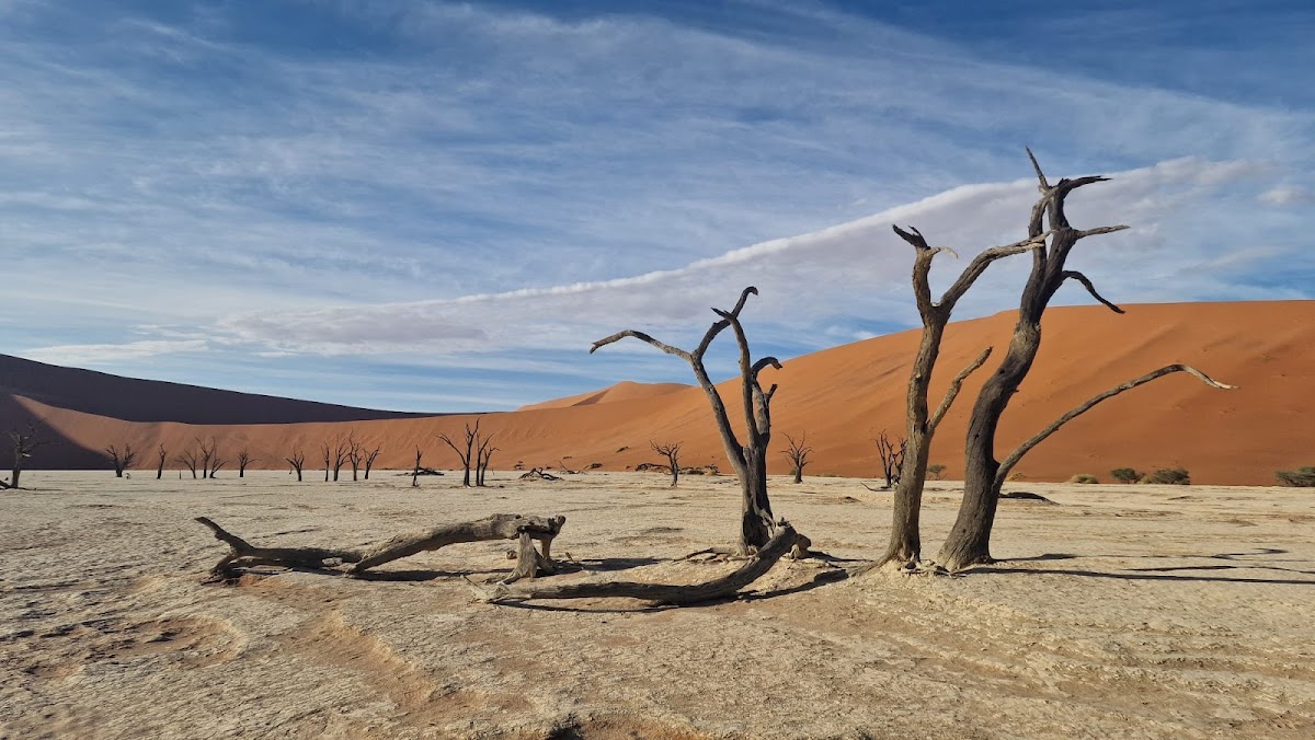 Safari World Tours – African Safari Experts — tour operator in 511 Dante St, Namibia – photo 4