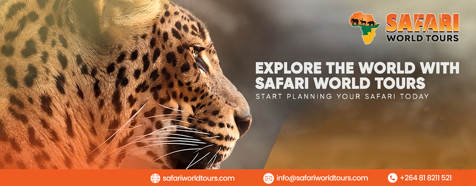 Safari World Tours – African Safari Experts — tour operator in 511 Dante St, Namibia – photo 1