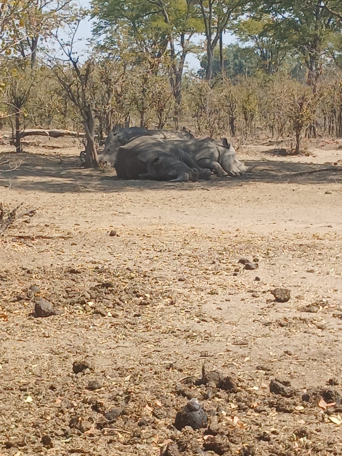Nekacheya Travel & Tours — tour operator in T1, Zambia – photo 6