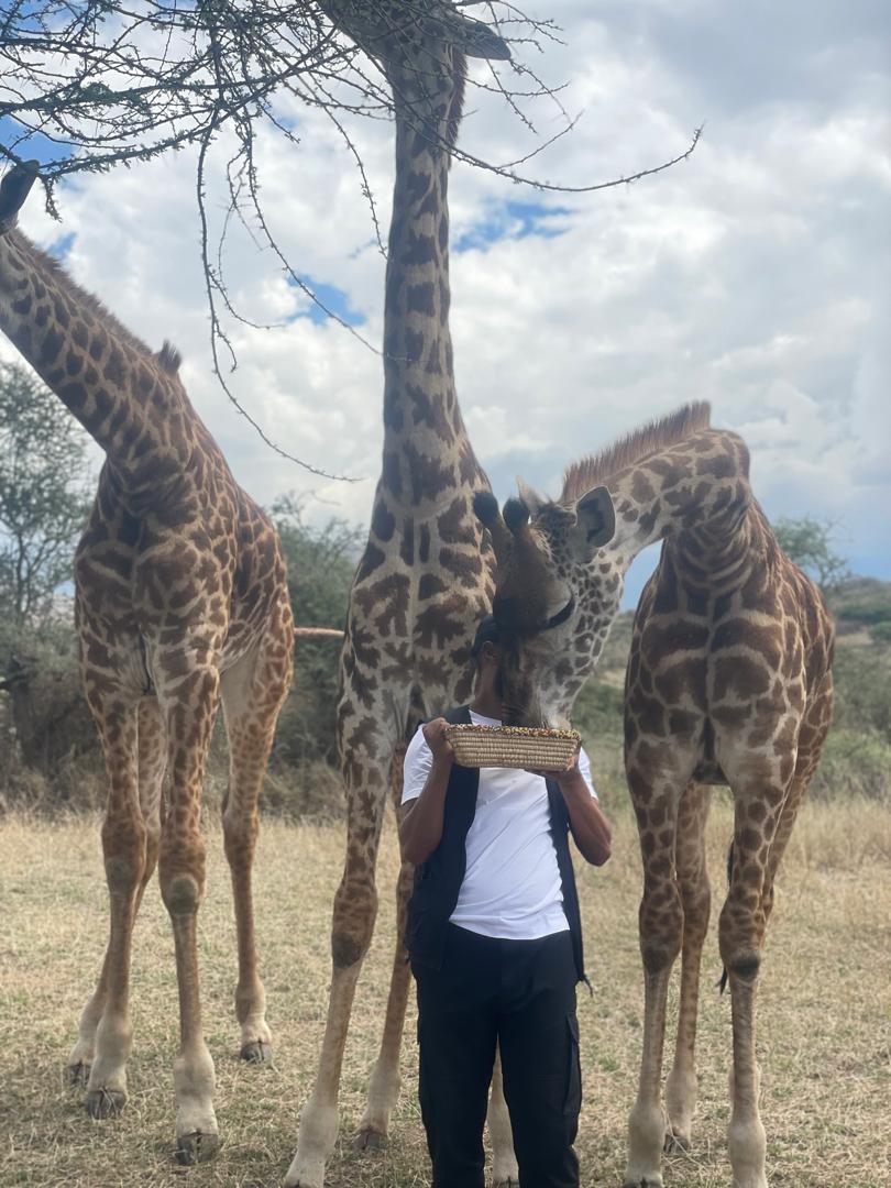 El Classical Adventures | The Best Tanzania Safari Company — tour operator in No: 5 Old Moshi Road, Tanzania – photo 6