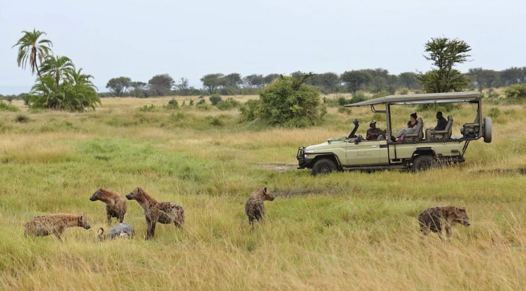 El Classical Adventures | The Best Tanzania Safari Company — tour operator in No: 5 Old Moshi Road, Tanzania – photo 2