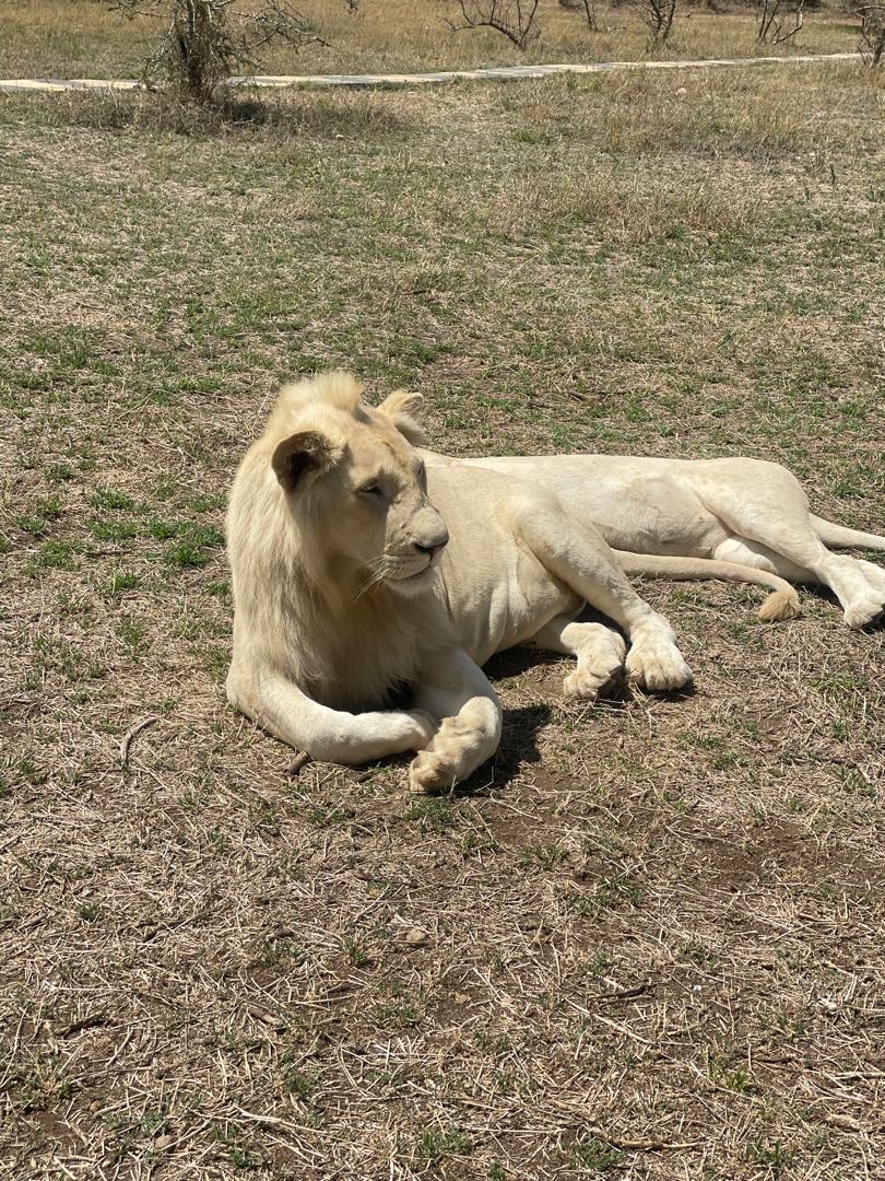 El Classical Adventures | The Best Tanzania Safari Company — tour operator in No: 5 Old Moshi Road, Tanzania – photo 3