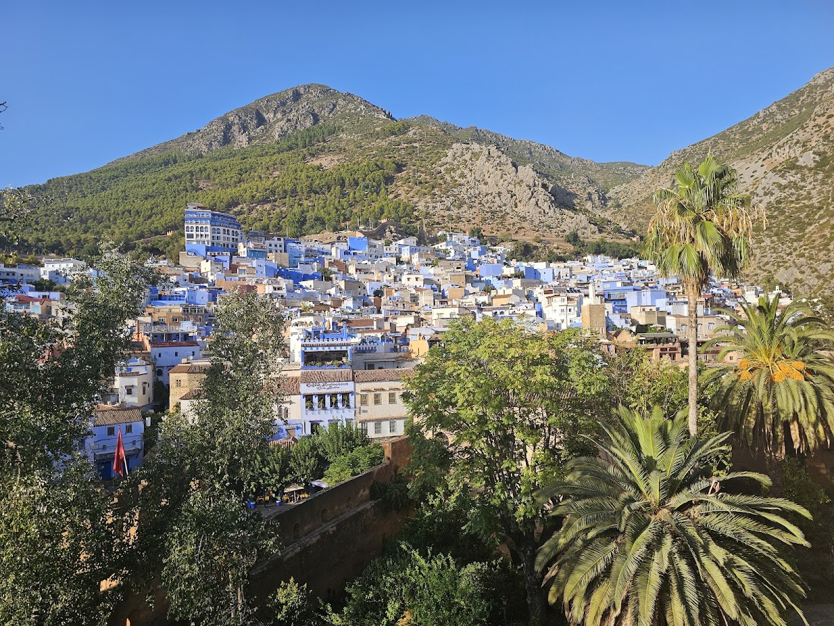 Local Morocco Tours — tour operator in Mhamid, Morocco – photo 5
