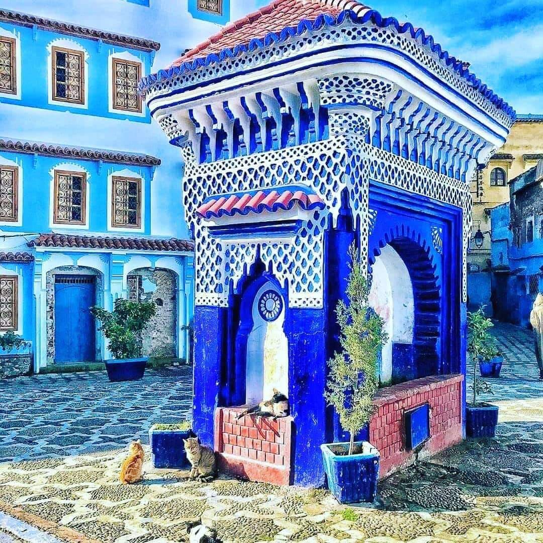 Local Morocco Tours — tour operator in Mhamid, Morocco – photo 3