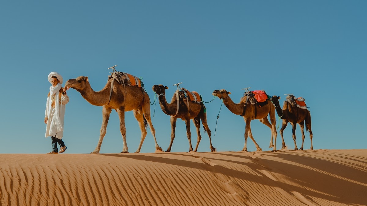 Local Morocco Tours — tour operator in Mhamid, Morocco – photo 1