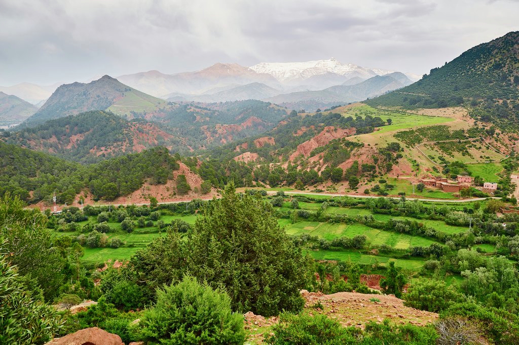 SAFARI DESERT TOURS — tour operator in MAG M'hamid Marrakech, Morocco – photo 4