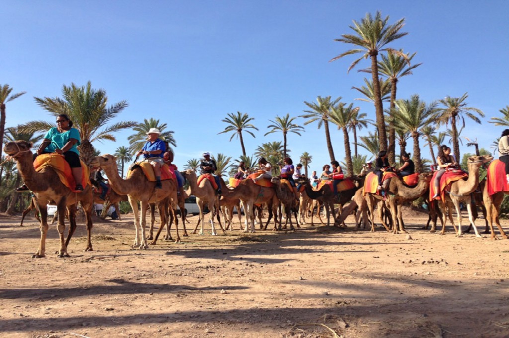 SAFARI DESERT TOURS — tour operator in MAG M'hamid Marrakech, Morocco – photo 5