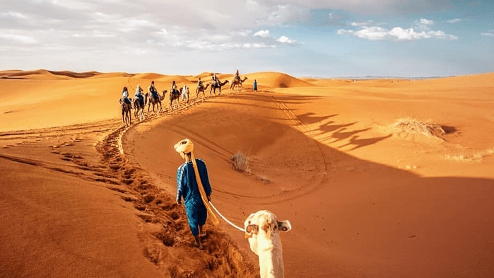 SAFARI DESERT TOURS — tour operator in MAG M'hamid Marrakech, Morocco – photo 3