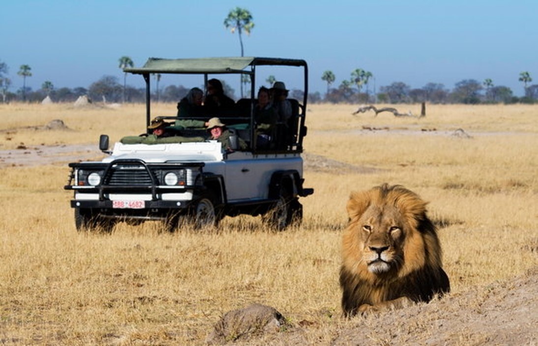 Africa Travel Tours — tour operator in Stand 432 Miles Road Industrial Sites, Zimbabwe – photo 1