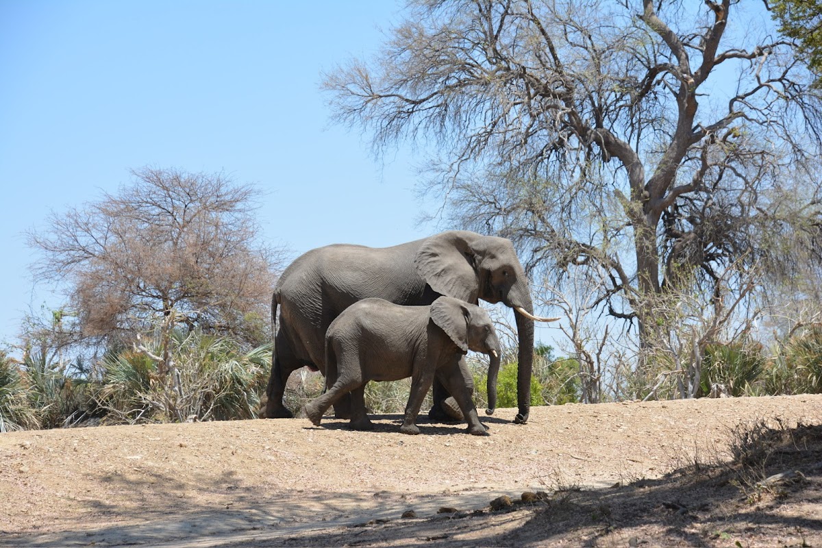 Explore Namibia — tour operator in 195 Mandume Ndemufayo Avenue, Namibia – photo 3