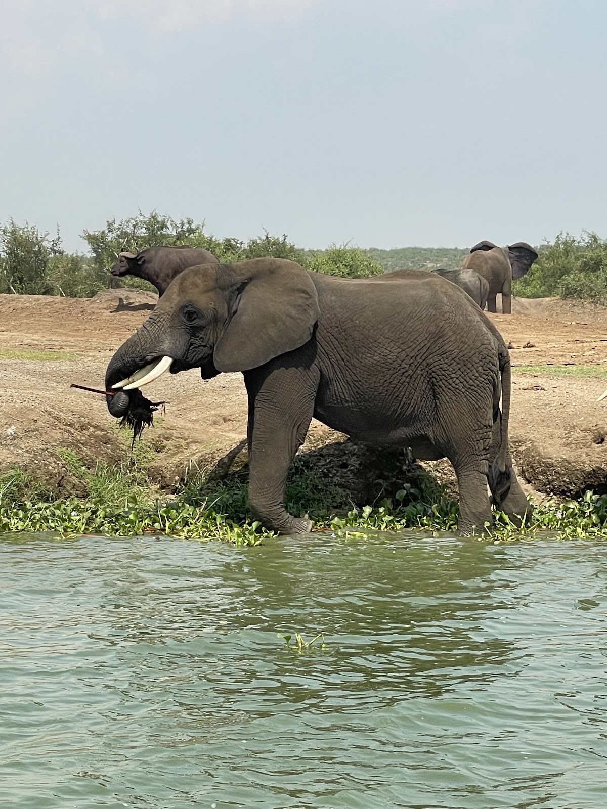 Prime Uganda Safaris & Tours Ltd — tour operator in Bweya Kajjansi Block; 397 - Plot No; 1959, Uganda – photo 3