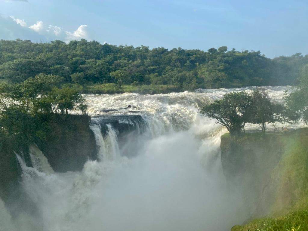 Africa Tours Adventure – Gorilla Trekking, Uganda, Rwanda & East Africa Safaris 2026-2030 — tour operator in 8GHH+HC, Uganda – photo 5