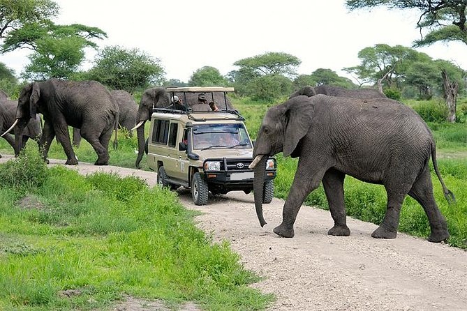 Gracepatt Ecotours Kenya — tour operator in 53936-00200, Kenya – photo 3