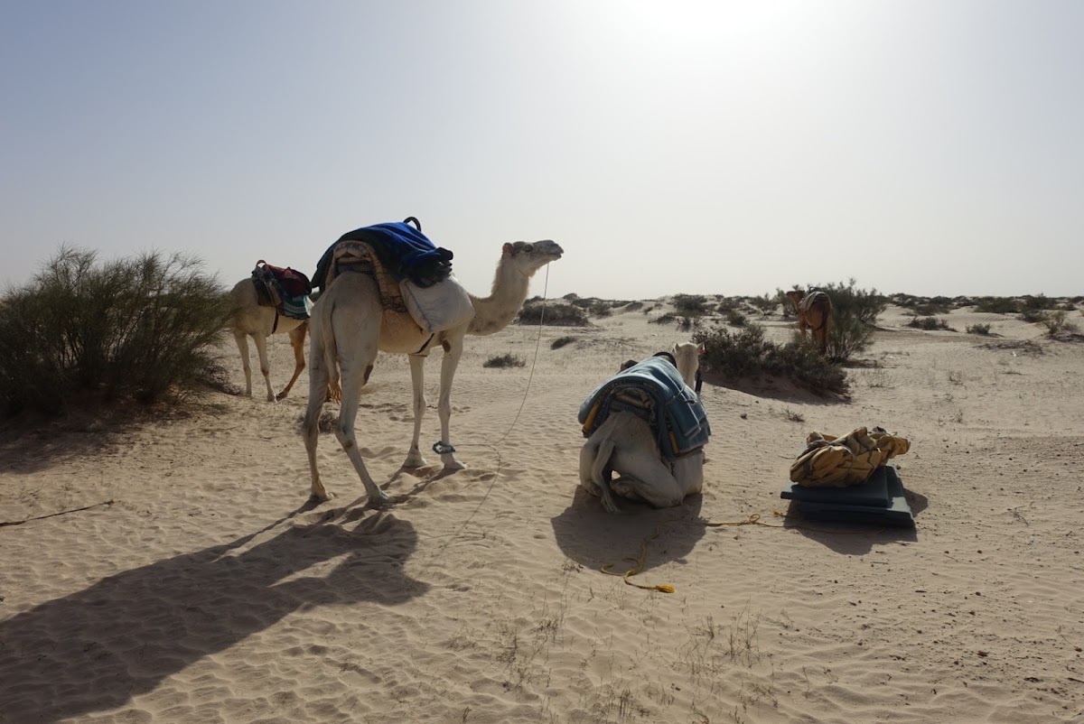 Alam Voyages — tour operator in Rue de Palestine, Tunisia – photo 6