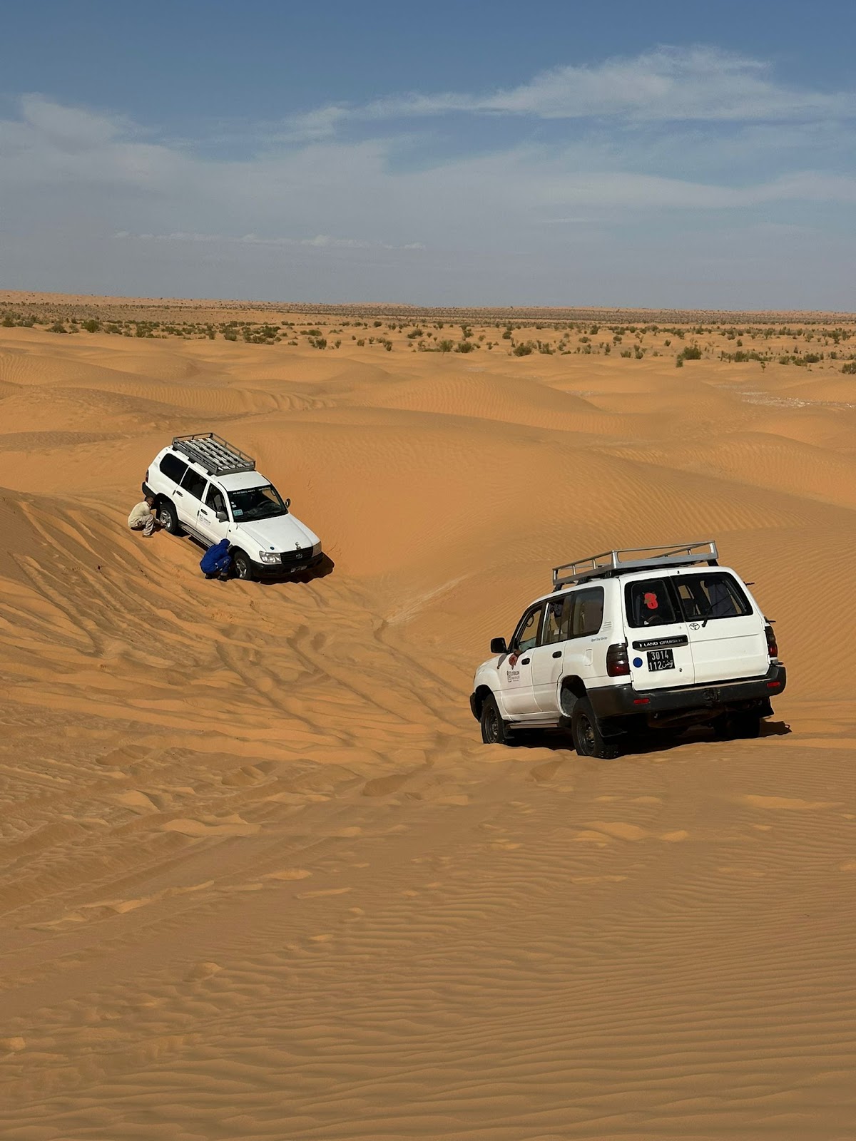 Alam Voyages — tour operator in Rue de Palestine, Tunisia – photo 5