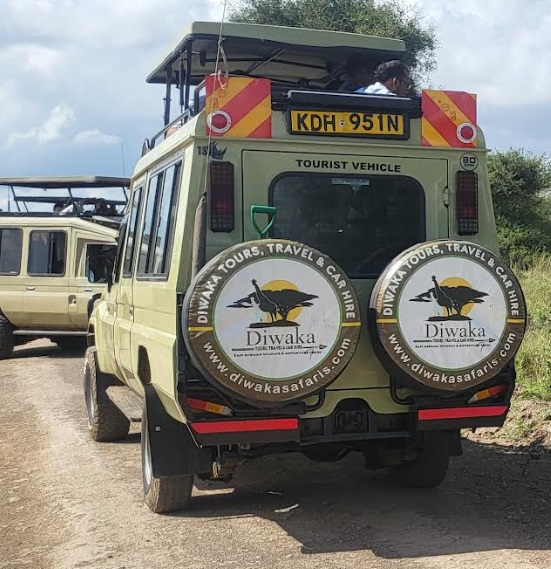 Diwaka Tours and Travel Company in Kenya | Vacations Beaches in Mombasa, Kenya Safaris, Mountain Climbing & More Tours — tour operator in B8 Kiambu Rd, Kenya – photo 1