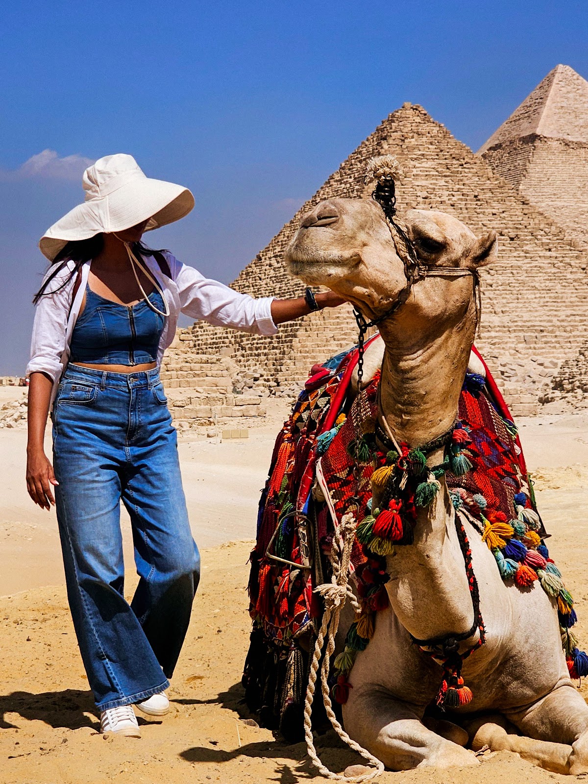 iEgypt Tours & Travels — tour operator in Giza Governorate, Egypt – photo 2
