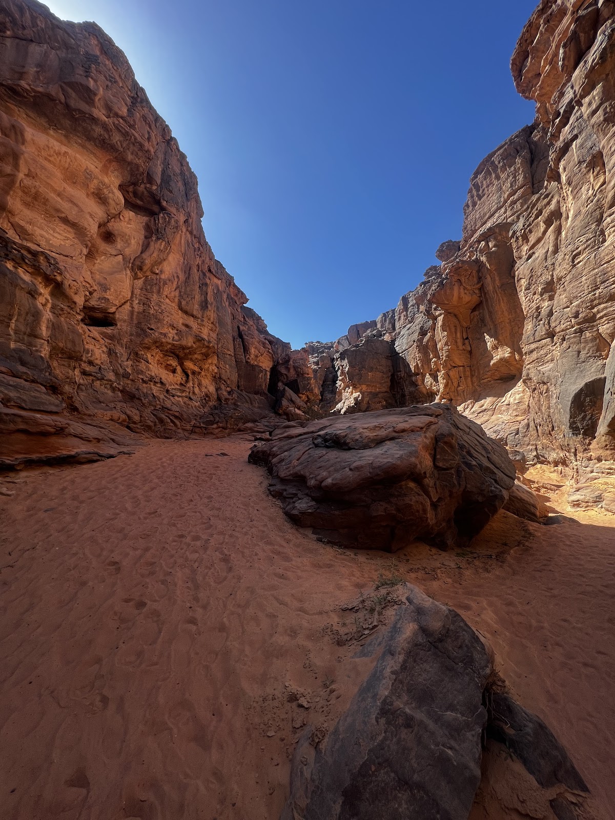 Aboogitours — tour operator in FGF5+VXG, Algeria – photo 3