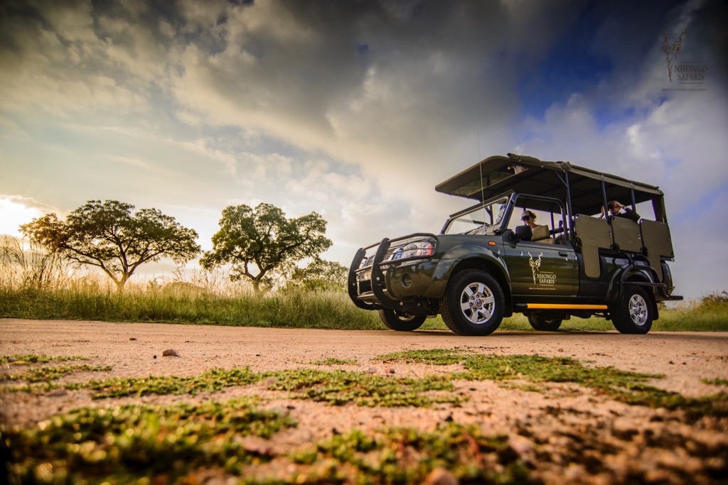 Kruger Park Safaris - Nhongo Safaris® — tour operator in Roodepoort, South Africa – photo 2