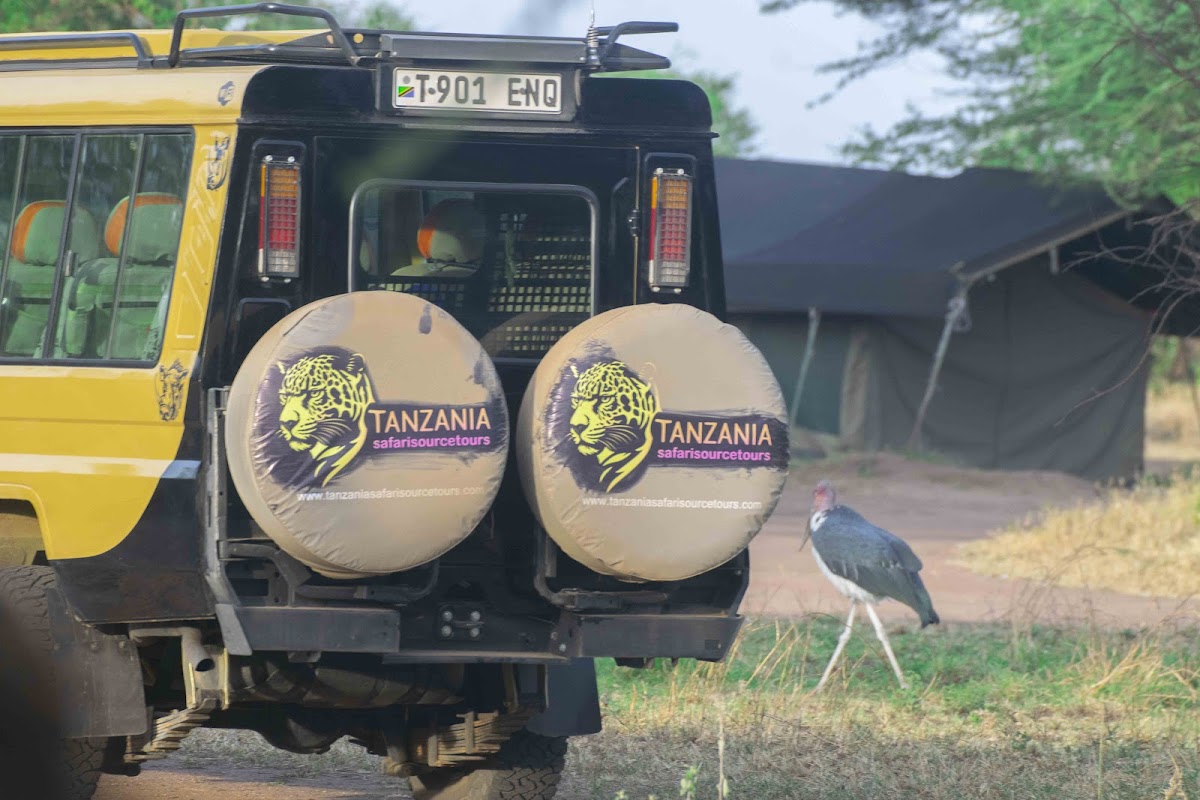 Tanzania Safari Source Tours — tour operator in Swahili St, Tanzania – photo 1