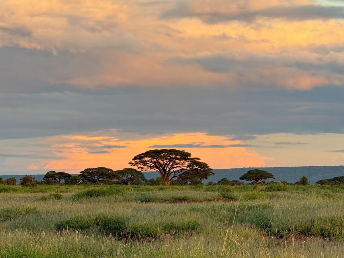 Sino Africa Safari | Tour Operator and Travel Agency in Nairobi, Kenya — tour operator in 33 Apple Cross Rd, Kenya – photo 2
