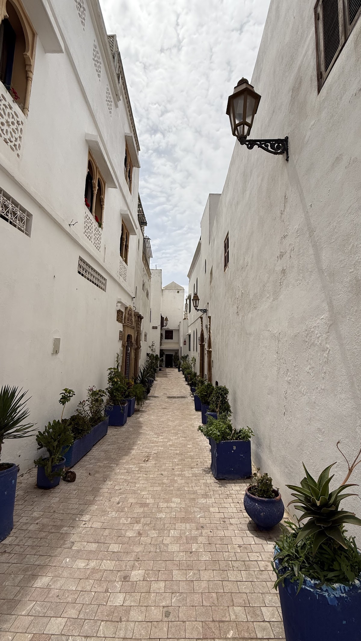 Discover Morocco — tour operator in Borj, Morocco – photo 1
