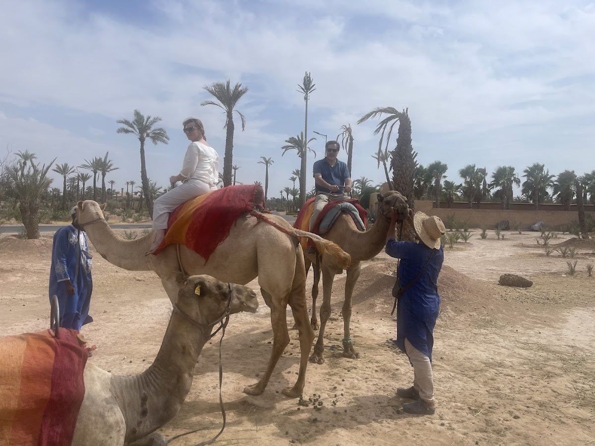 Discover Morocco — tour operator in Borj, Morocco – photo 5
